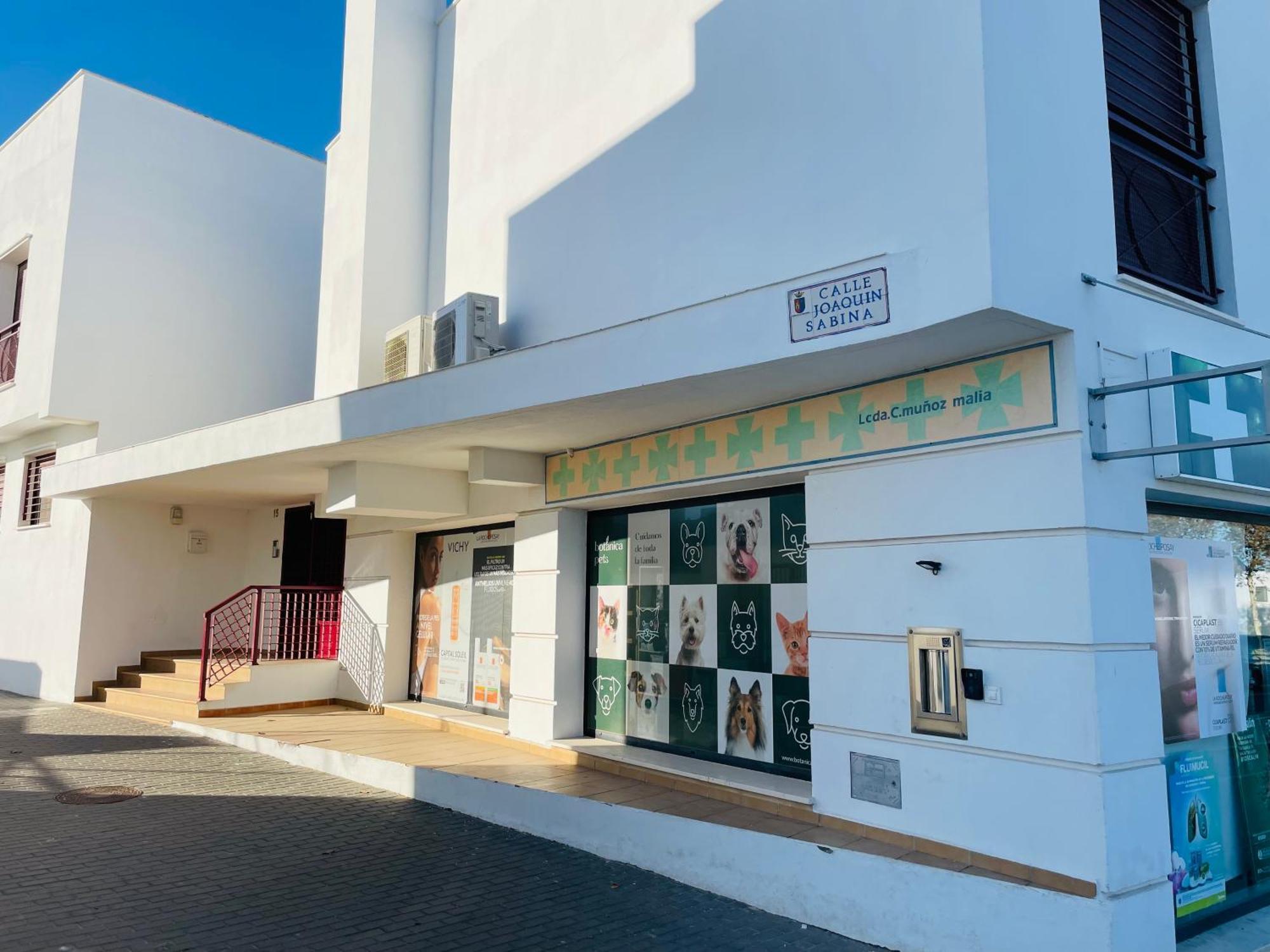 Apartamento Superior con piscina, parking, terraza, Aire Ac y Wifi -Solo familias o parejas- Conil De La Frontera Exterior foto